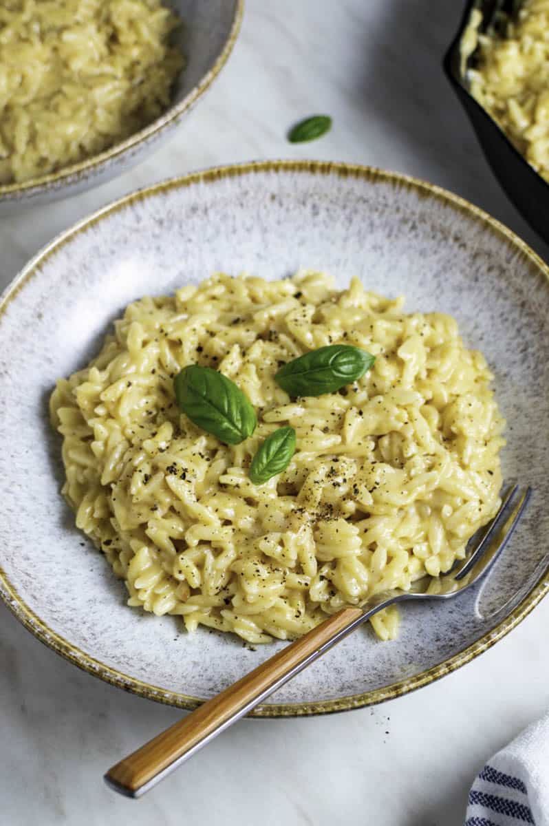 Orzo Mac and Cheese (Creamy, Savory and Flavorful!)