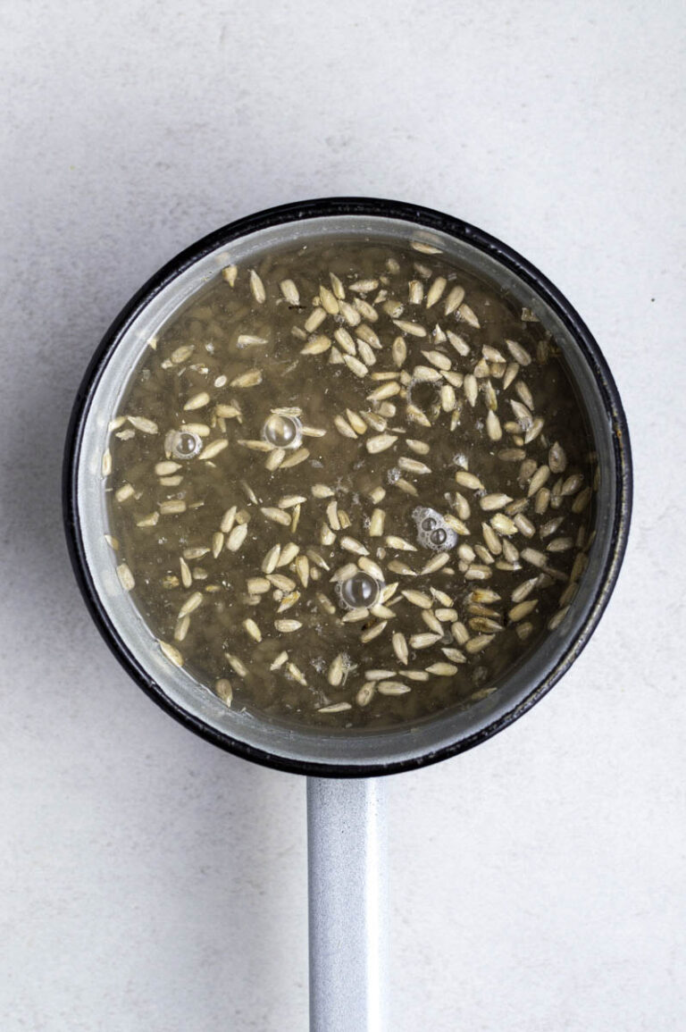 Sunflower Seed Cream Cheese Easy Vegan Recipe