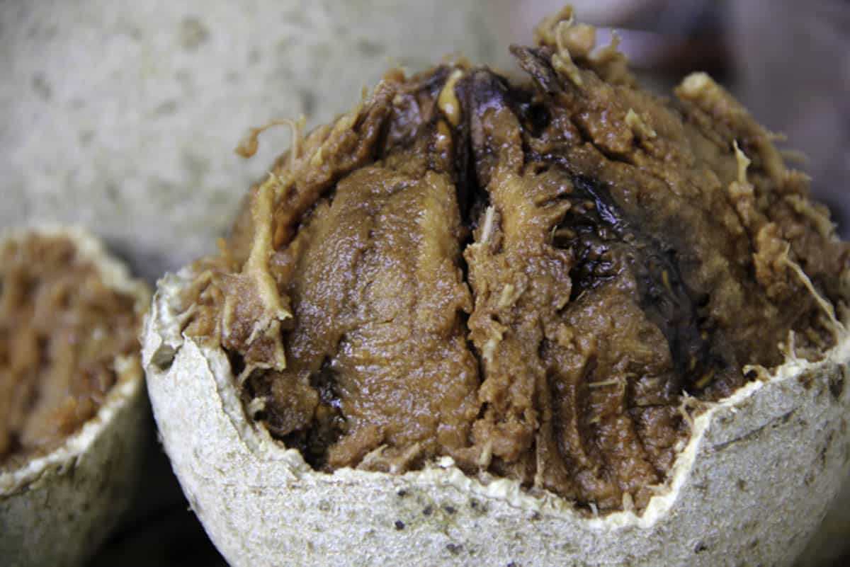 A cracked open wood apple with the inside flesh visible.