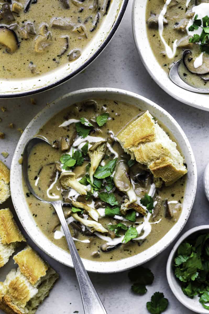 Oyster mushroom soup served in a white bowl and topped with fresh cilantro.