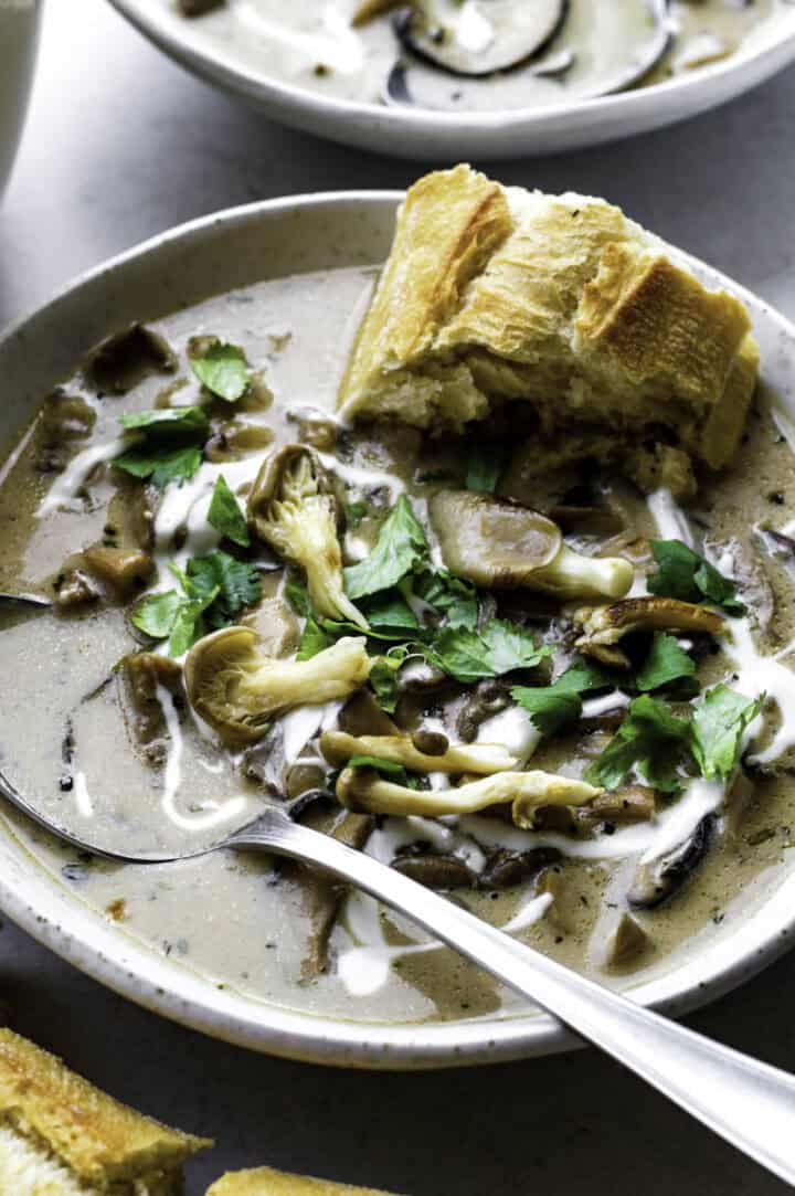 Creamy Oyster Mushroom Soup with Thyme Sunglow Kitchen