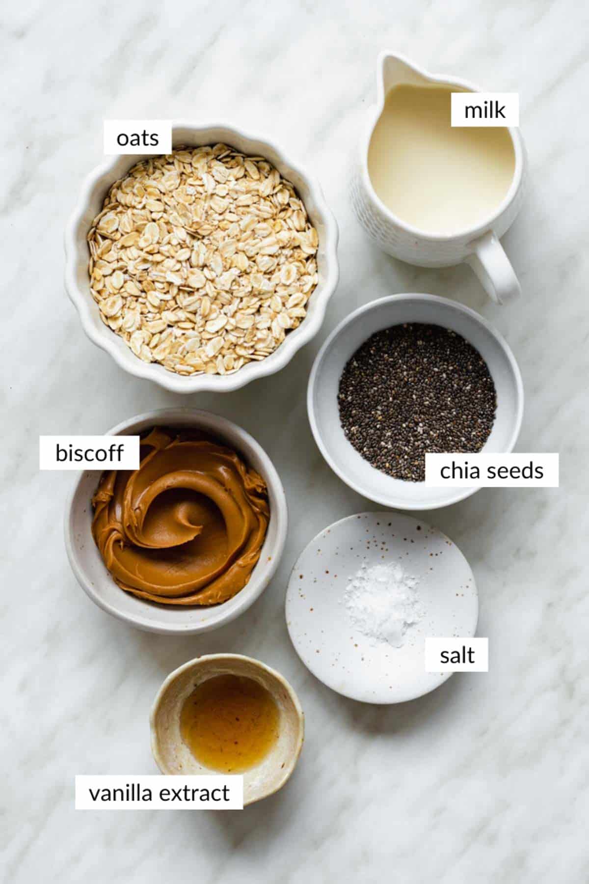 Gathered ingredients for making biscoff overnight oats with text overlay on each ingredient.
