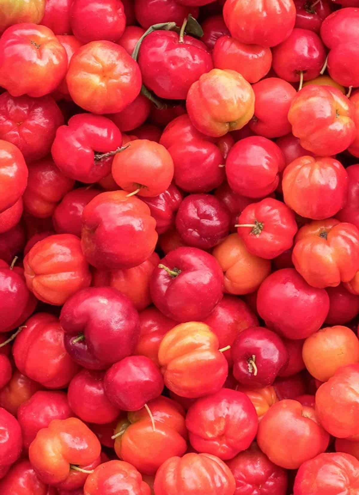 A whole bunch of west Indian cherries.